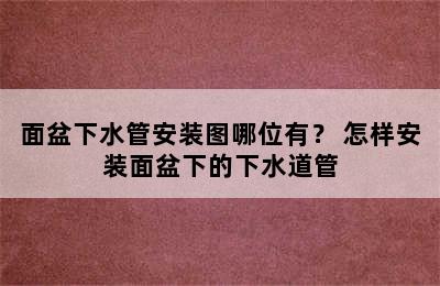 面盆下水管安装图哪位有？ 怎样安装面盆下的下水道管